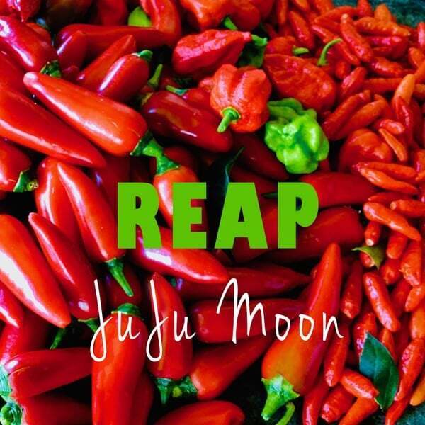 Cover art for Reap